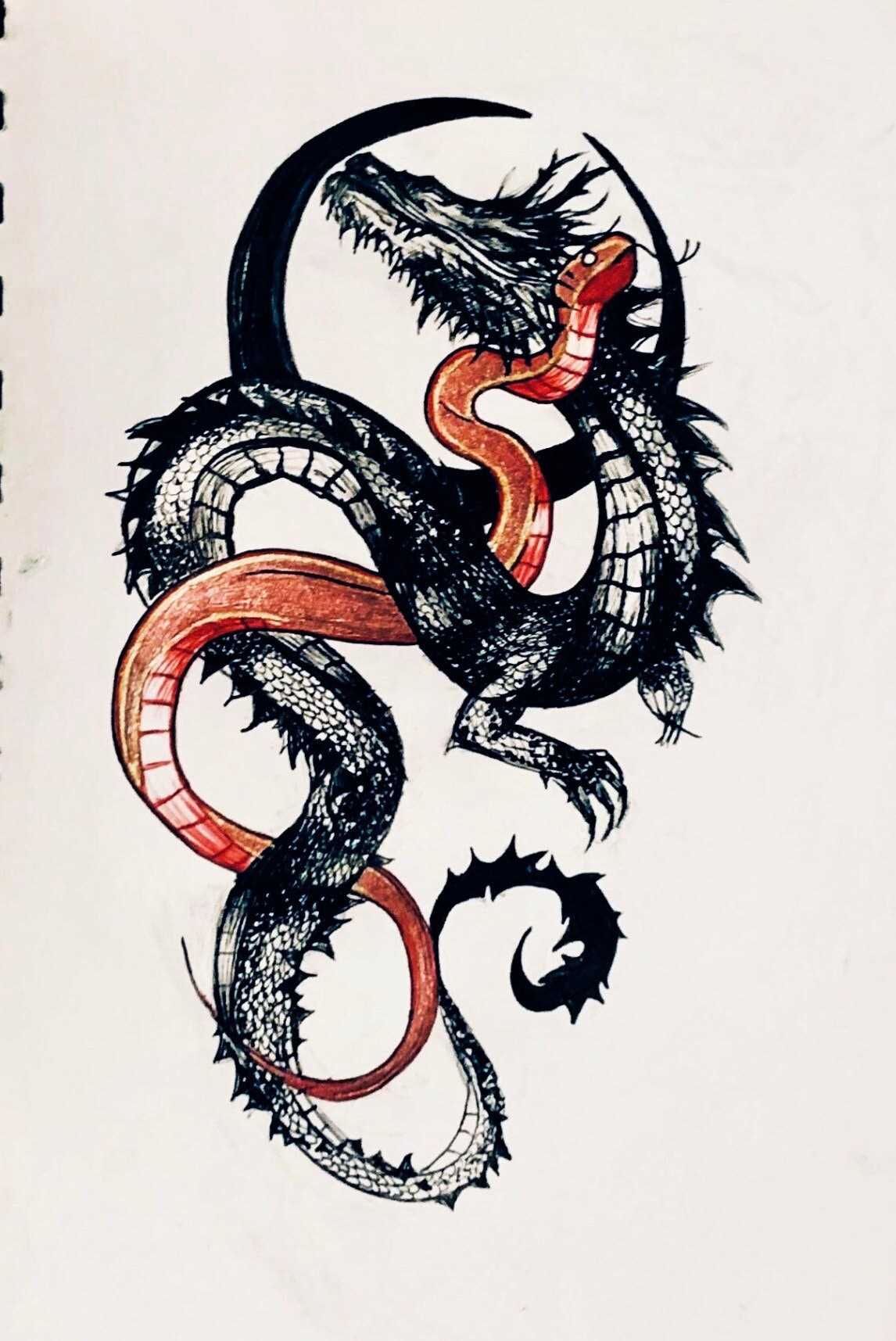 Snake and Dragon | Mythical Creatures of Ancient Folklore - Vital Frog