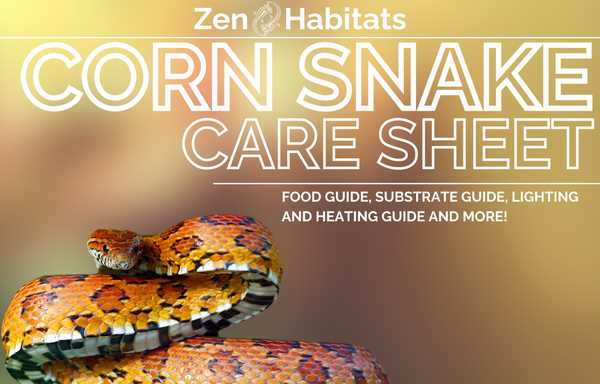 The Role of Corn in Snake Nutrition