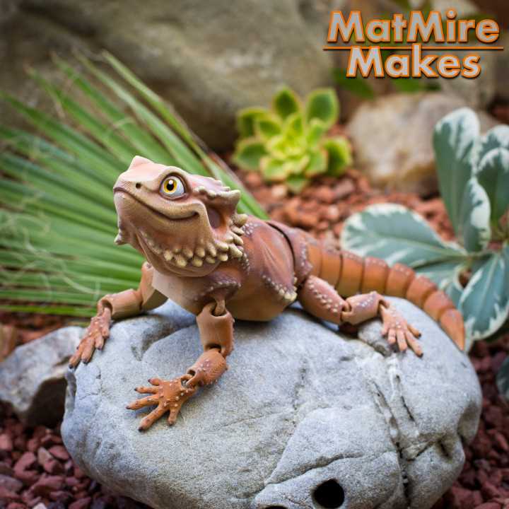 Toys for bearded dragons