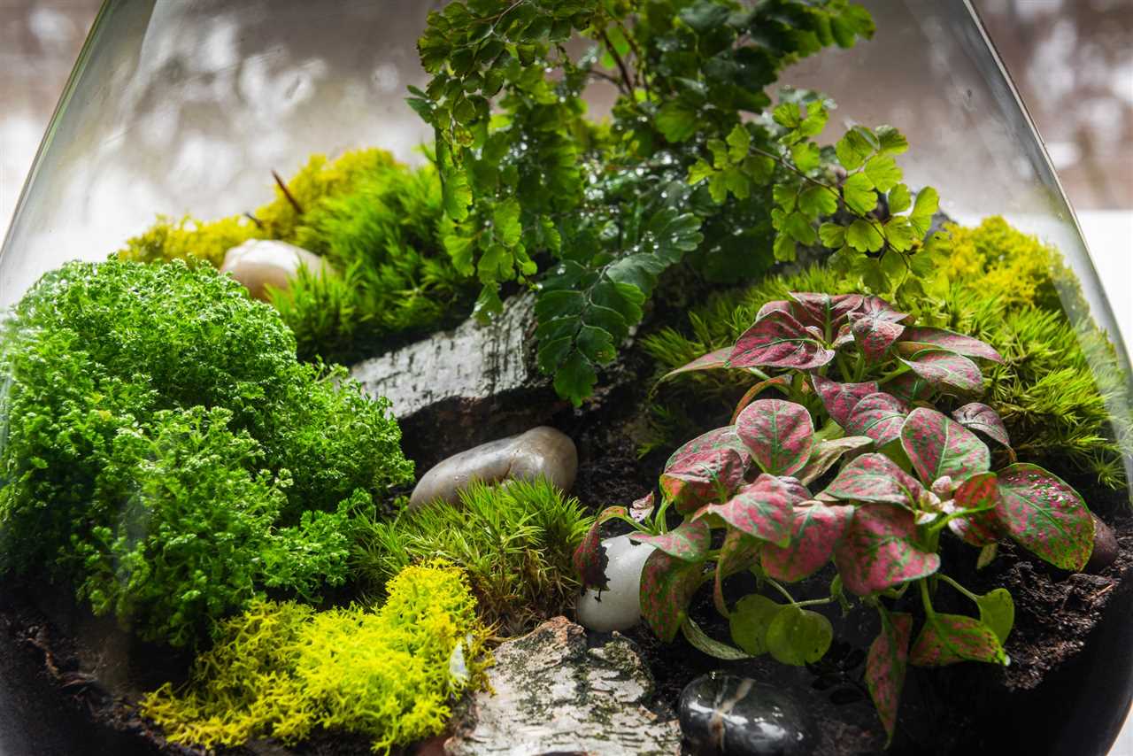 Cost considerations for vivariums and terrariums