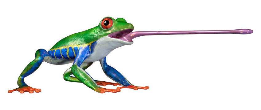 The Ultimate Frog Tongue Mystery Unveiled
