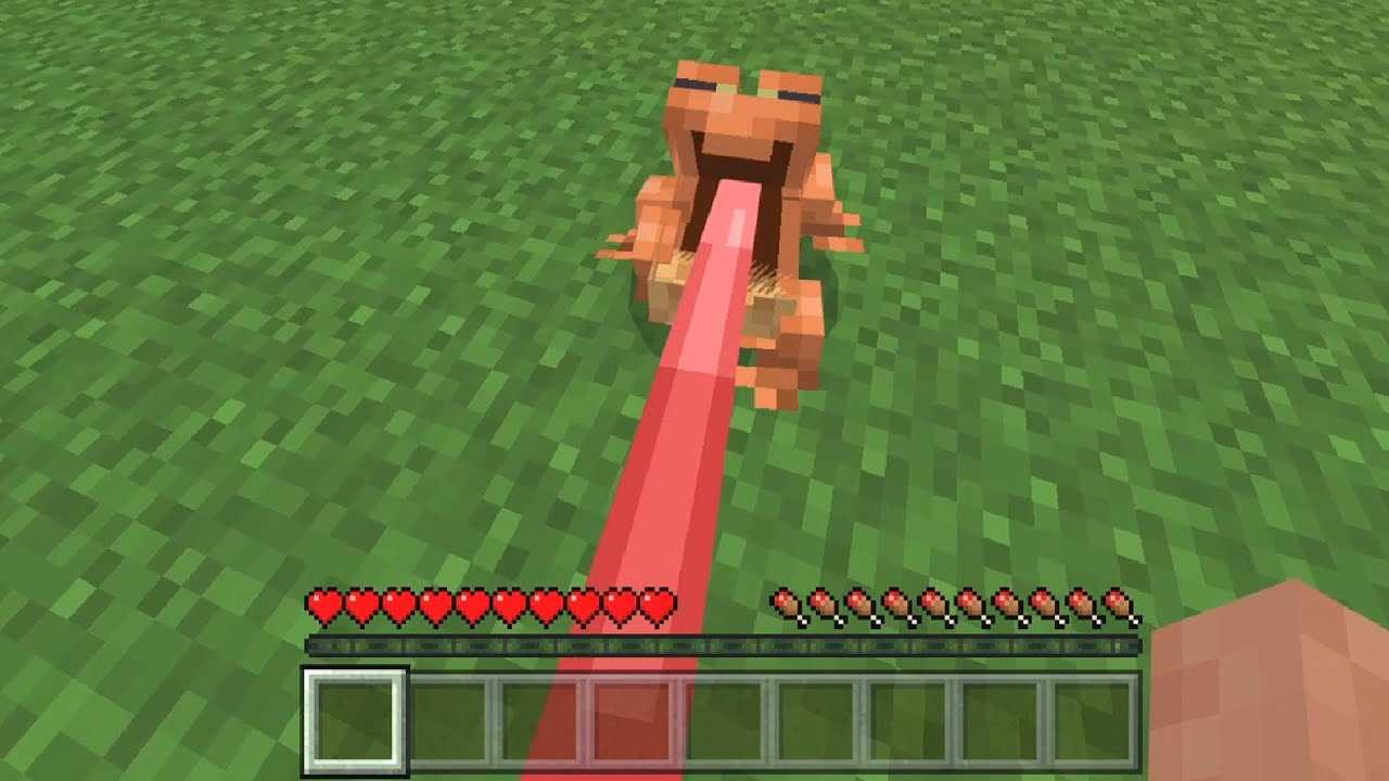What kills frogs in minecraft