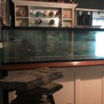 Choosing the Right 125 Gallon Turtle Tank for Your Pet