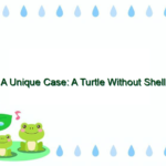A Unique Case: A Turtle Without Shell