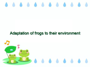 Adaptation of frogs to their environment - Vital Frog