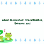 Albino Bumblebee: Characteristics, Behavior, and Habitat