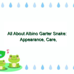 All About Albino Garter Snake: Appearance, Care, and Facts