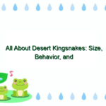 All About Desert Kingsnakes: Size, Behavior, and Habitat