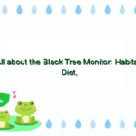 All about the Black Tree Monitor: Habitat, Diet, and Behavior