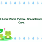 All About Woma Python – Characteristics, Care, and More
