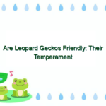 Are Leopard Geckos Friendly: Their Temperament And Behavior