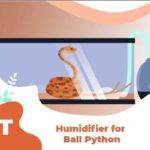 The Importance of Using a Humidifier for Ball Pythons