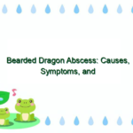 Bearded Dragon Abscess: Causes, Symptoms, and Treatment