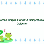 Bearded Dragon Florida: A Comprehensive Guide for Reptile Enthusiasts