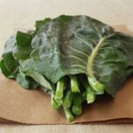 Best Mustard Greens for Feeding Your Bearded Dragon