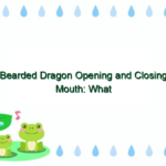 Bearded Dragon Opening and Closing Mouth: What Does It Mean?