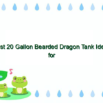 Best 20 Gallon Bearded Dragon Tank Ideas for Optimal Comfort