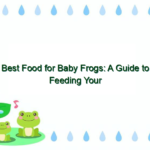 Best Food for Baby Frogs: A Guide to Feeding Your Tadpoles