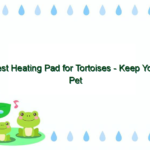 Best Heating Pad for Tortoises – Keep Your Pet Warm and Cozy