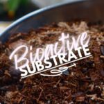 All About Bioactive Substrate: Benefits and Uses