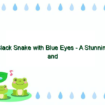 Black Snake with Blue Eyes – A Stunning and Mysterious Creature