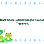 Black Spots Bearded Dragon: Causes, Treatment, and Care Tips