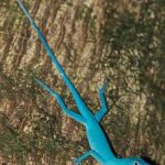 Blue Reptile: Discover the Enigmatic World of Reptiles in Stunning Shades of Blue