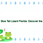 Blue Tail Lizard Florida: Discover the Fascinating World of Florida’s Lizard Species