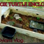 Creating the Perfect Box Turtle Outdoor Enclosure – Expert Tips and Advice