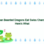 Can Bearded Dragons Eat Swiss Chard? Here’s What You Need to Know