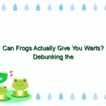 Can Frogs Actually Give You Warts? Debunking the Myth