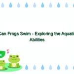 Can Frogs Swim – Exploring the Aquatic Abilities of Frogs