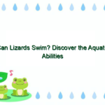 Can Lizards Swim? Discover the Aquatic Abilities of Lizards