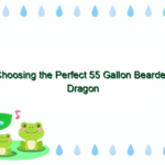Choosing the Perfect 55 Gallon Bearded Dragon Tank for Your Pet