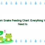 Corn Snake Feeding Chart: Everything You Need to Know