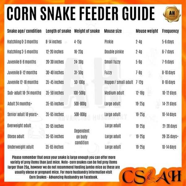 Corn Snake Growth Chart Track Your Snake's Growth Progress Vital Frog