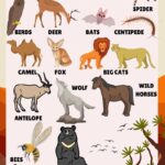 Desert Pet Names: Creative and Unique Ideas for Naming Your Desert-inspired Pets