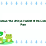 Discover the Unique Habitat of the Desert Rain Frog