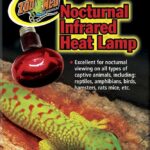 Does a Corn Snake Require a Heat Lamp?