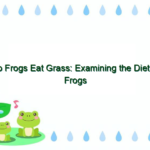 Do Frogs Eat Grass: Examining the Diet of Frogs in the Wild