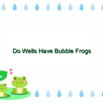 Do Wells Have Bubble Frogs