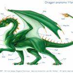 All About Dragon Ears: Common Characteristics and Care Tips