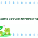 Essential Care Guide for Pacman Frogs