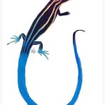 Buy Five Lined Skink for Sale Online – Best Deals at [Your Store Name]