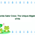 Florida Gator Crocs: The Unique Alligators of the Sunshine State