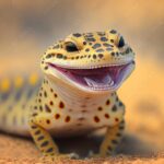 Discover the Fascinating Features of the Gecko Face