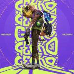 Gekko Ultimate Health Guide | Improve Your Gekko’s Performance