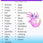 Best Axolotl Names for Your Pet: Creative and Unique Ideas