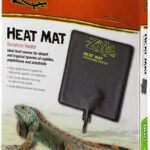 How to Heat a Terrarium and Keep Your Reptiles Warm