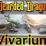 How to Build a Homemade Bearded Dragon Enclosure – Step-by-Step Guide